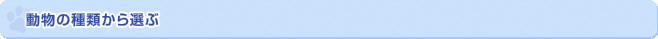 動物の種類から選ぶ