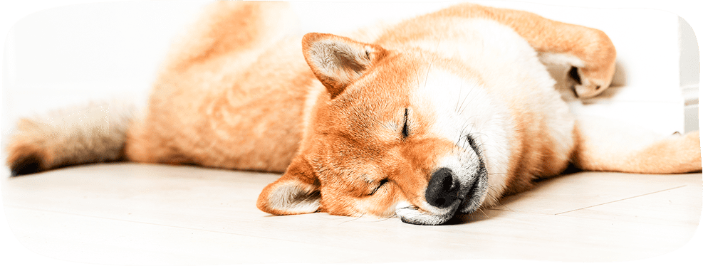 院長ブログ