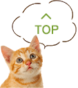 トップへ戻る