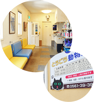 とうごう動物病院