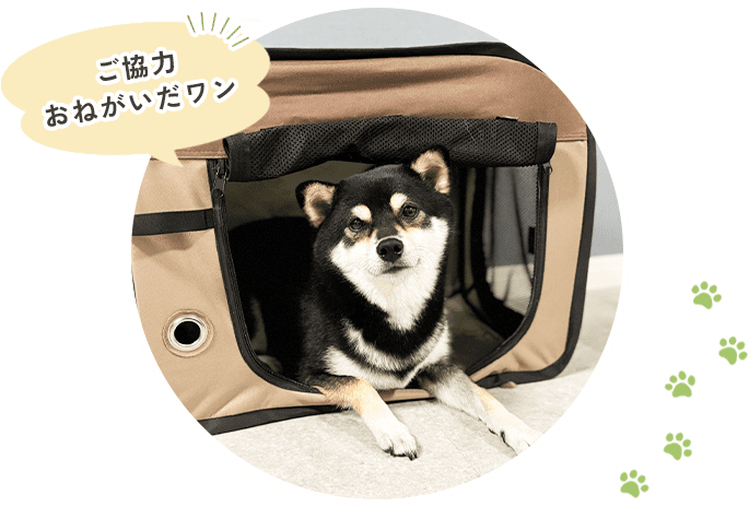 ご協力おねがいだワン