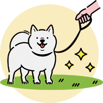 散歩・運動
