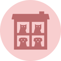散歩・運動