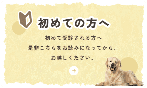 初めての方へ