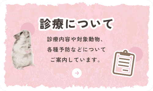 診療について