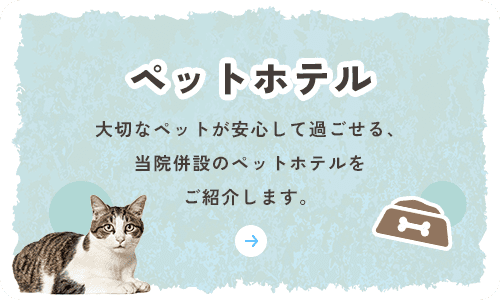 ペットホテル