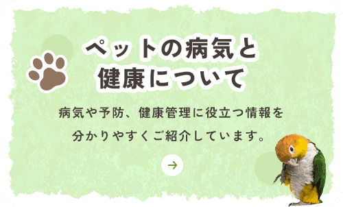 ペットの病気と健康について